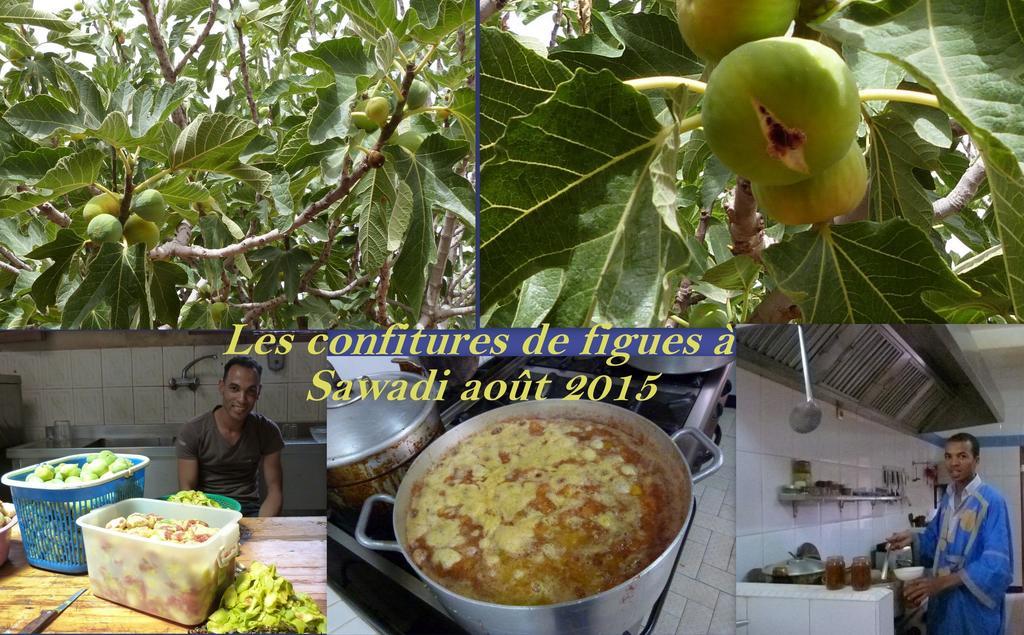 Sawadi Ecolodge Skoura Kültér fotó