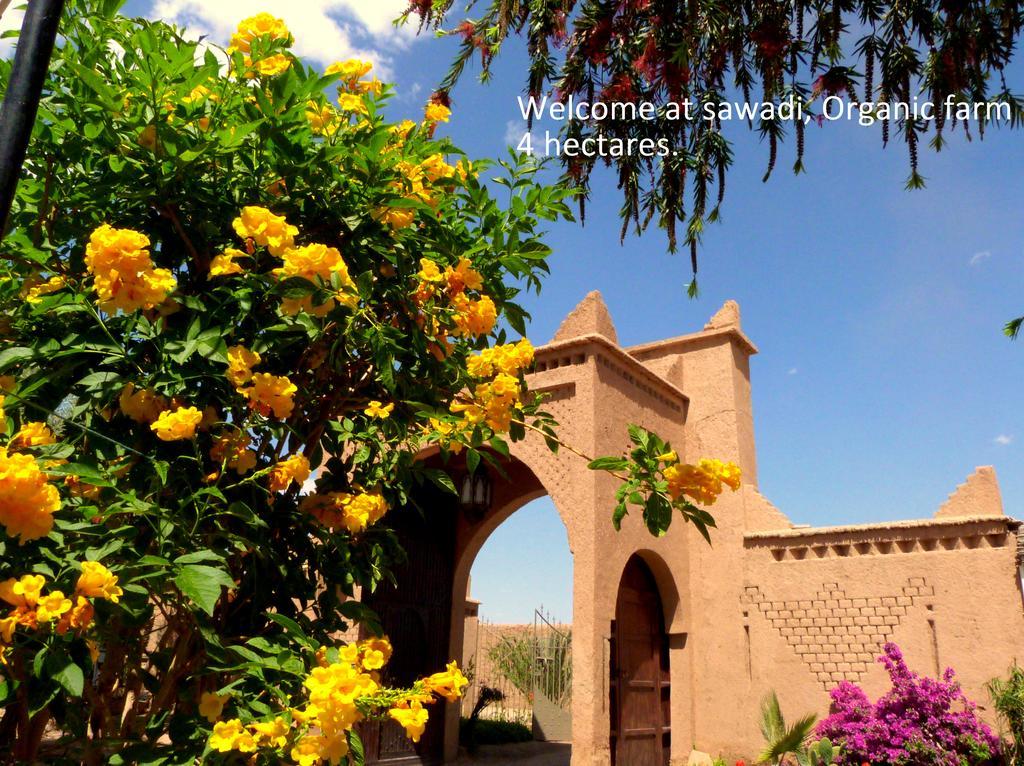 Sawadi Ecolodge Skoura Kültér fotó